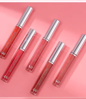AAH 12 Colors Velvet Matte Lip Gloss