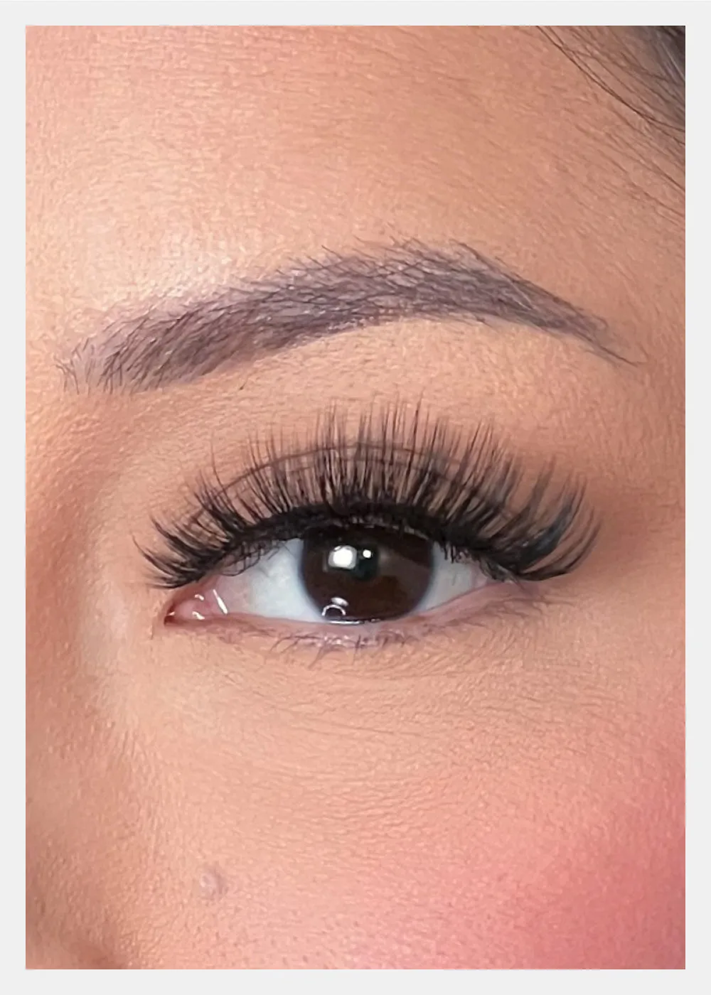 D-LUX Curl Premium Faux Mink Lashes - Hedy