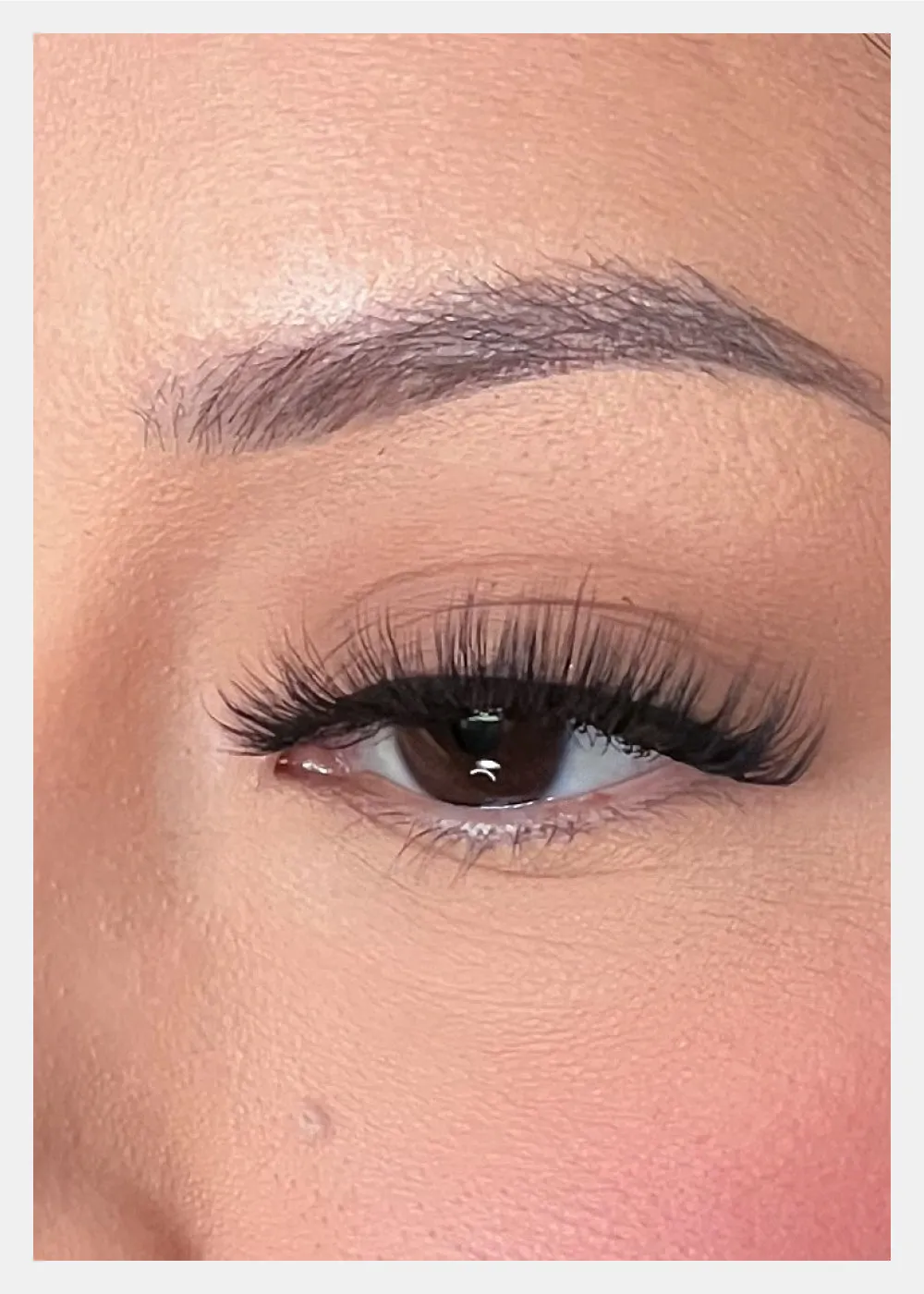 D-LUX Curl Premium Faux Mink Lashes - Hedy