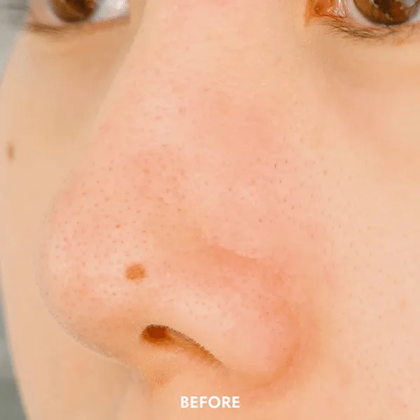 Instant Cloud Skin Make Up Brush