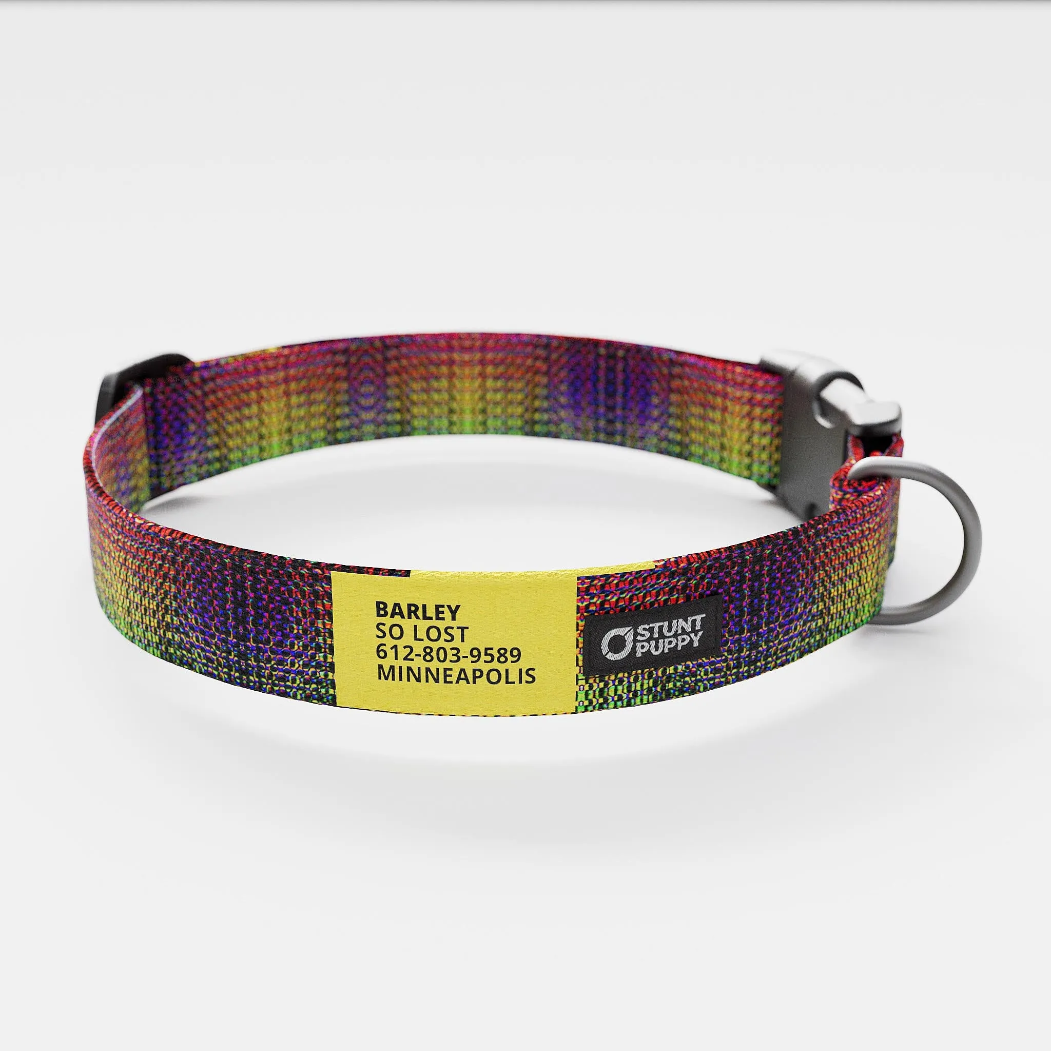 Jammin Dragon Skin Everyday Collar