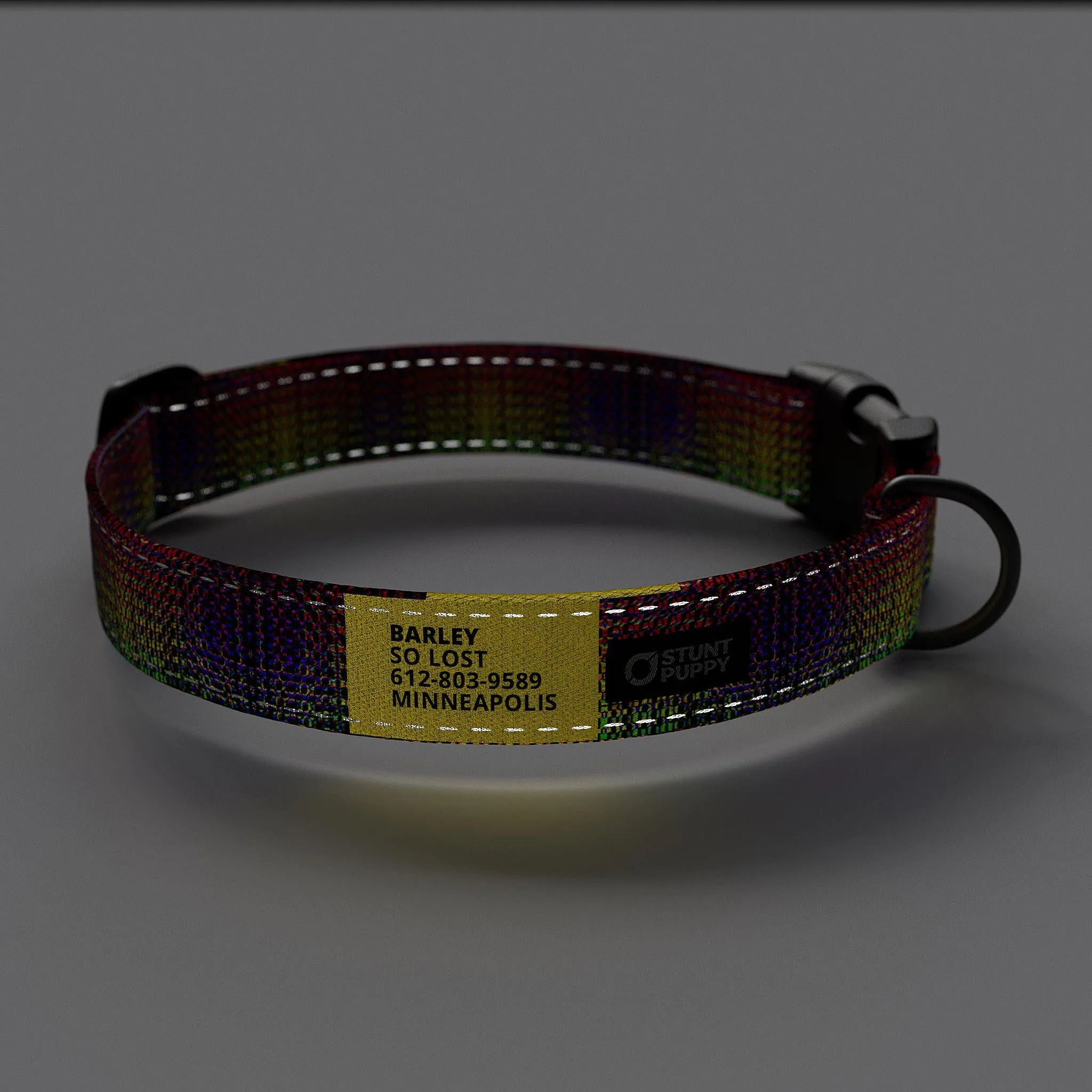Jammin Dragon Skin Everyday Collar