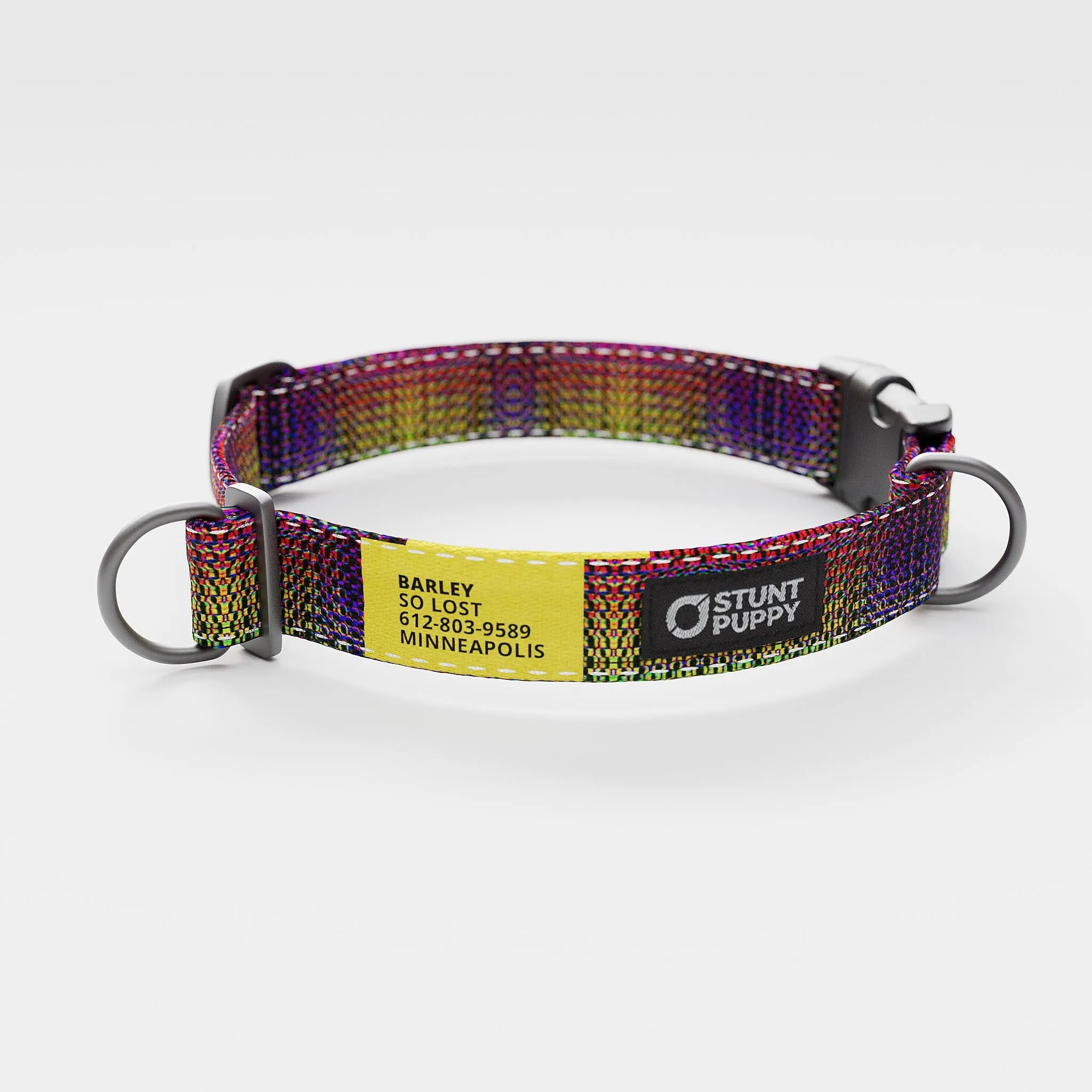 Jammin Dragon Skin Everyday Collar