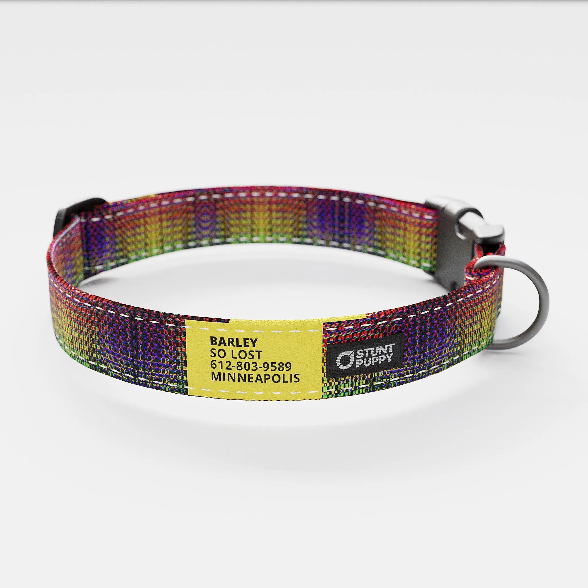 Jammin Dragon Skin Everyday Collar