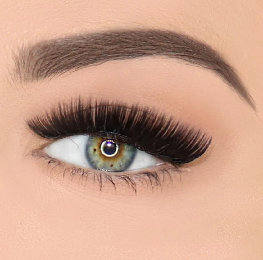 Lash Republic Graphite Burst