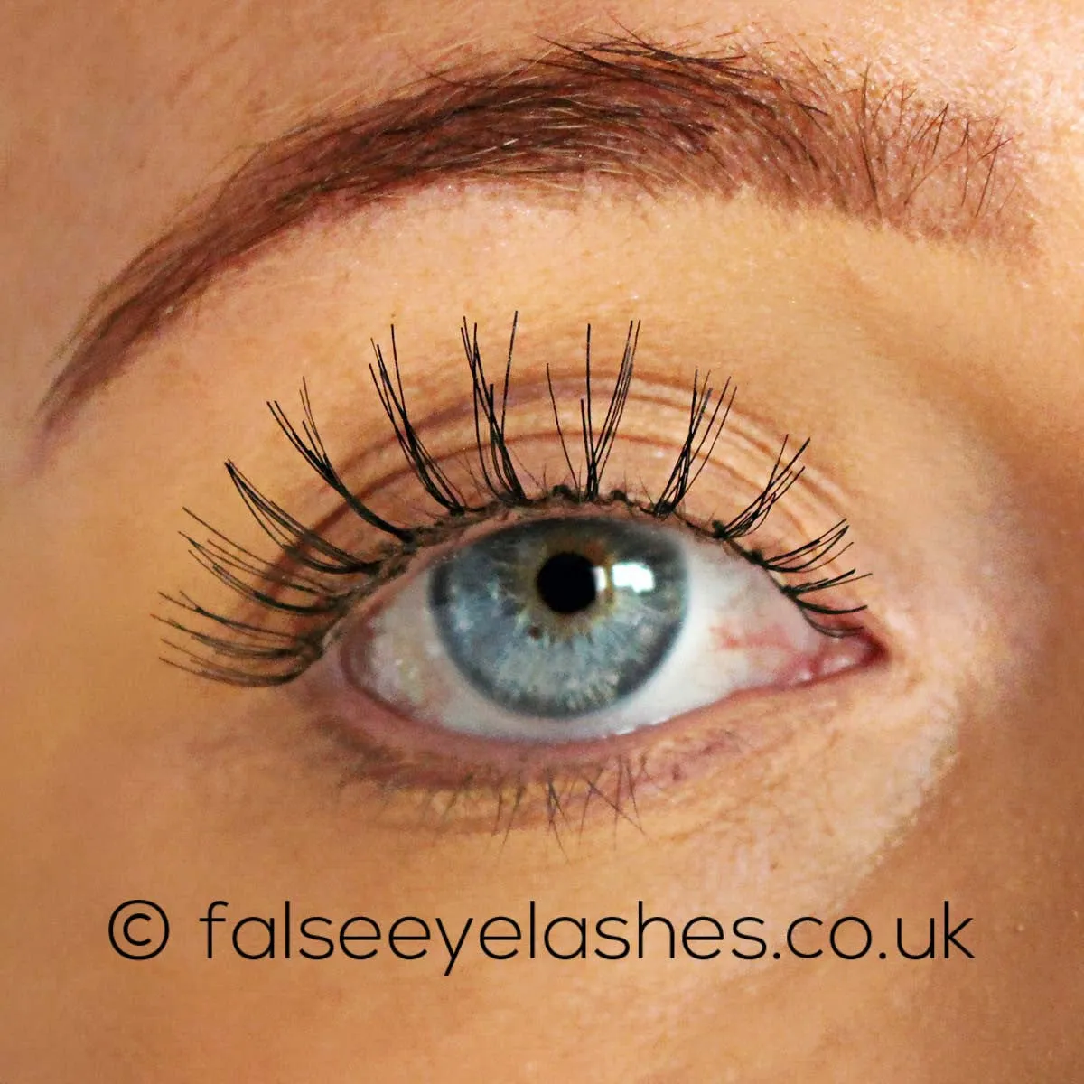 Red Cherry Lashes Style #83 (Juno)